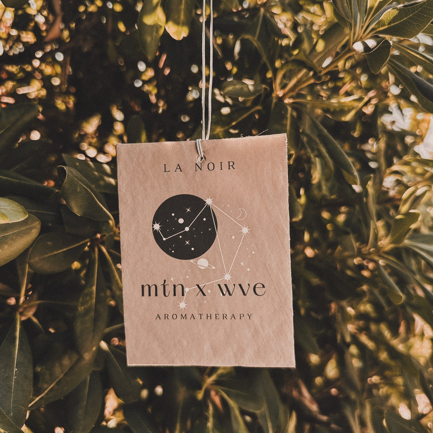 Classic Car Air Fresheners