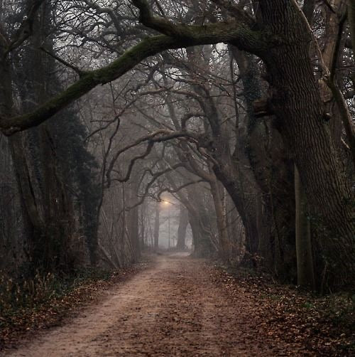 January Moon: The Unspoken